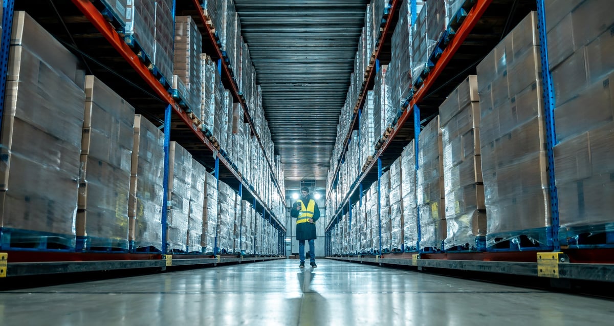 Worker checking inventory in a vast cold storage warehouse